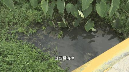 DƬ